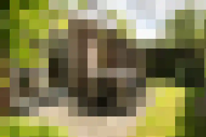 Het Diekman 16 Epse thumbnail 38