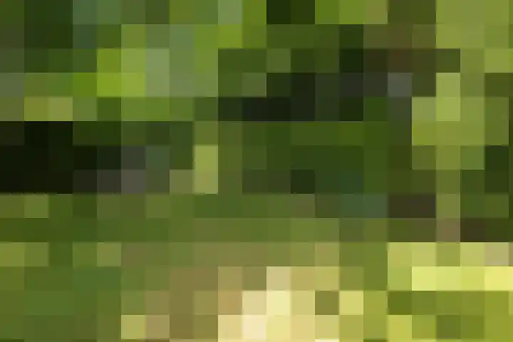Het Diekman 16 Epse thumbnail 39