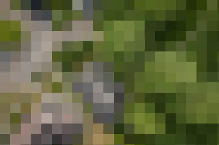 Het Diekman 16 Epse thumbnail 40