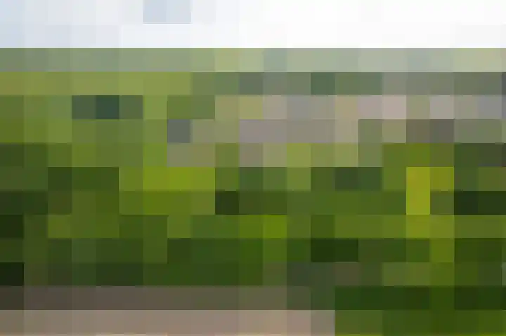 Het Diekman 16 Epse thumbnail 41