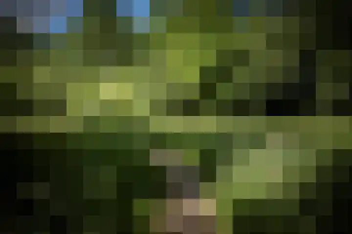 Het Diekman 16 Epse thumbnail 42