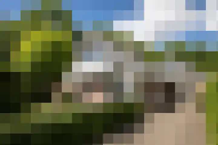 Het Diekman 16 Epse thumbnail 46