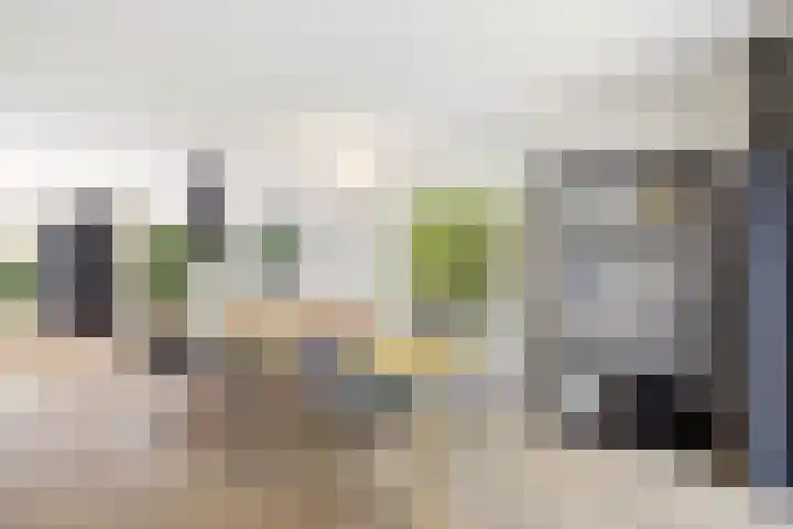 Het Diekman 16 Epse thumbnail 8