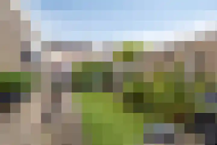 Het Diep 18 Drachten thumbnail 25
