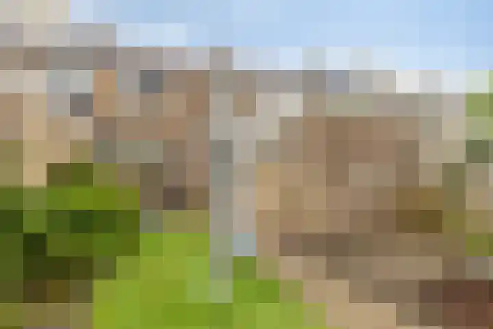 Het Diep 18 Drachten thumbnail 26