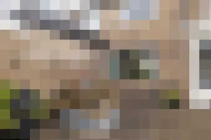 Het Diep 18 Drachten thumbnail 28