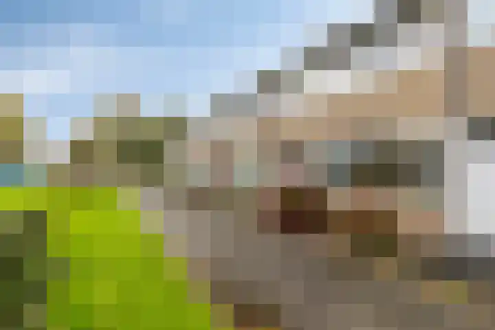 Het Diep 18 Drachten thumbnail 30