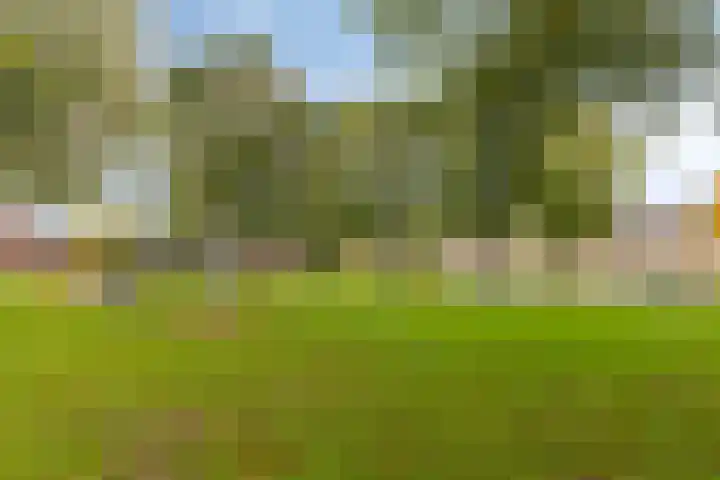 Het Diep 18 Drachten thumbnail 31