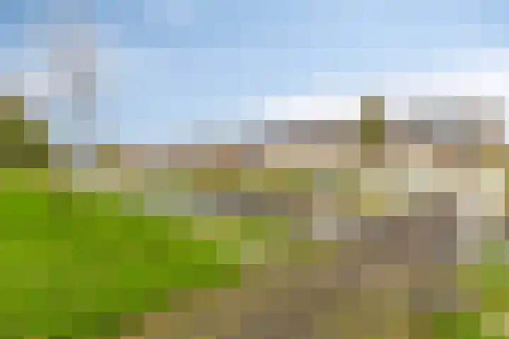 Het Diep 18 Drachten thumbnail 32