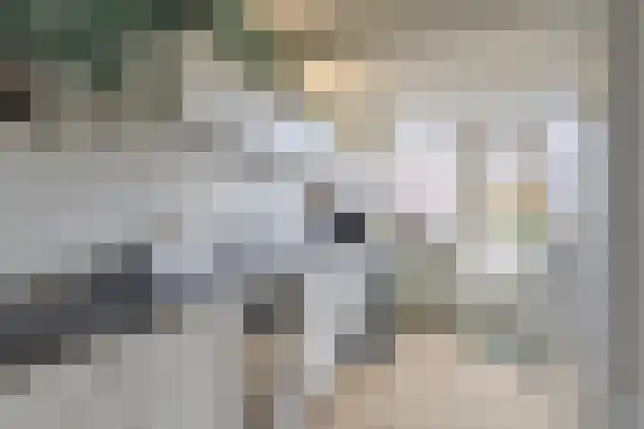 Het Diep 18 Drachten thumbnail 4