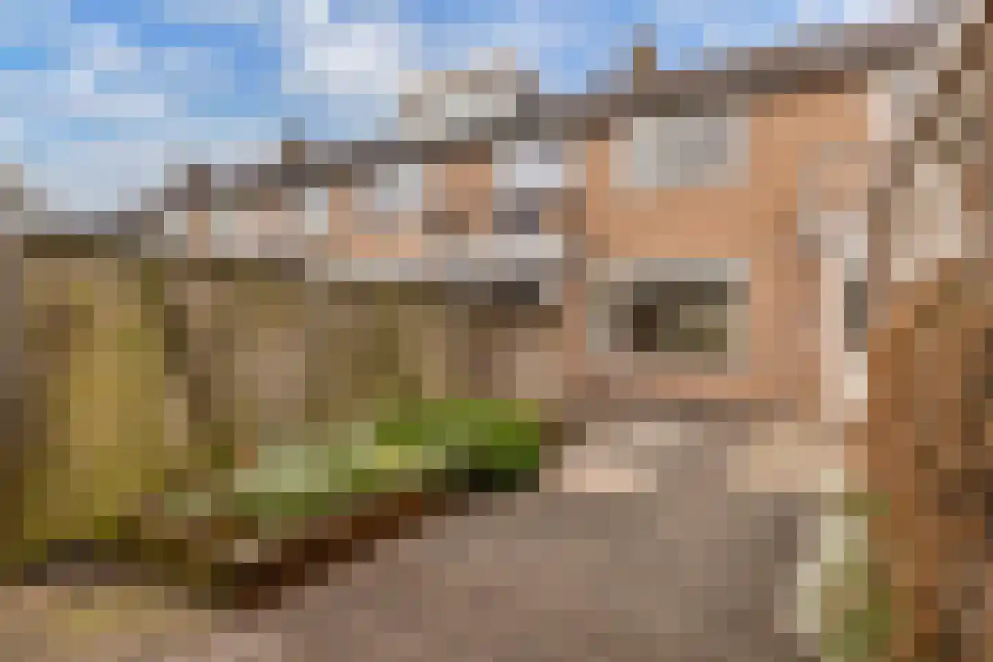 Het Diep 32 Drachten thumbnail 25
