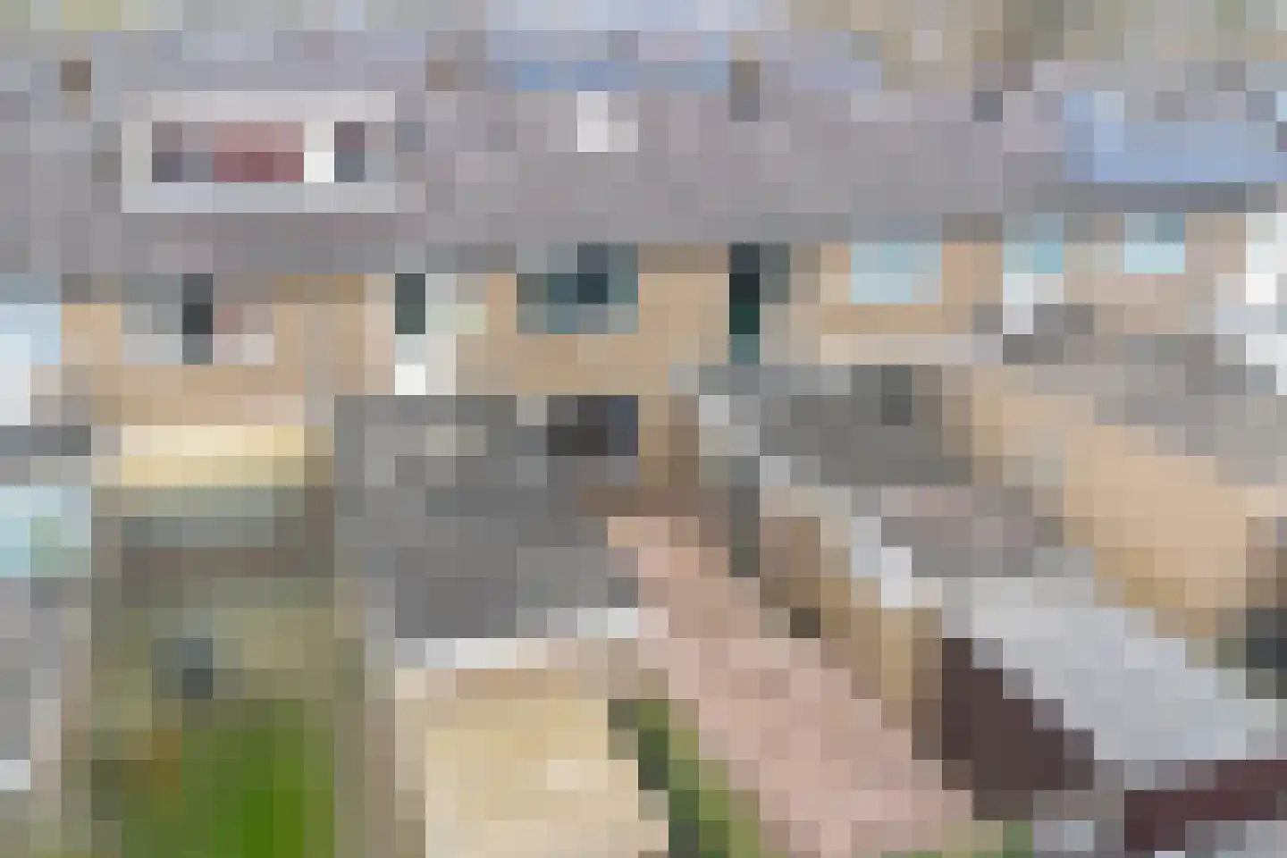 Het Diep 42 Drachten thumbnail 31