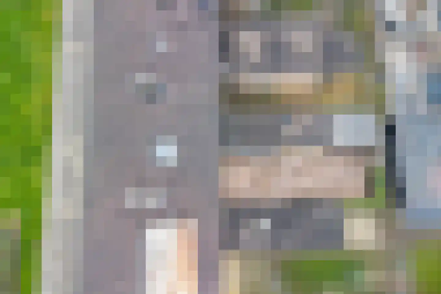 Het Diep 42 Drachten thumbnail 32