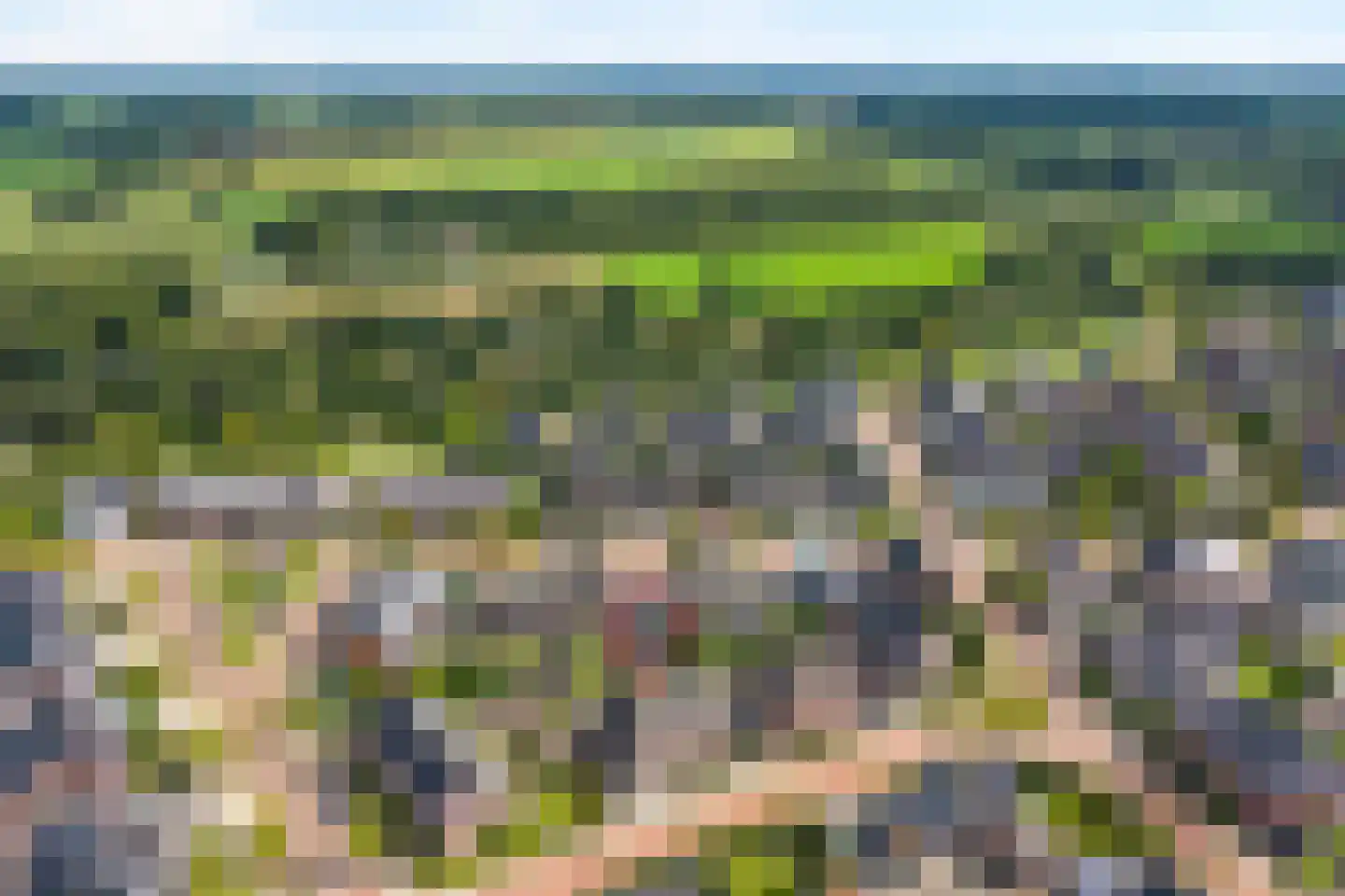 Het Diepen Goor 9 Gramsbergen thumbnail 10