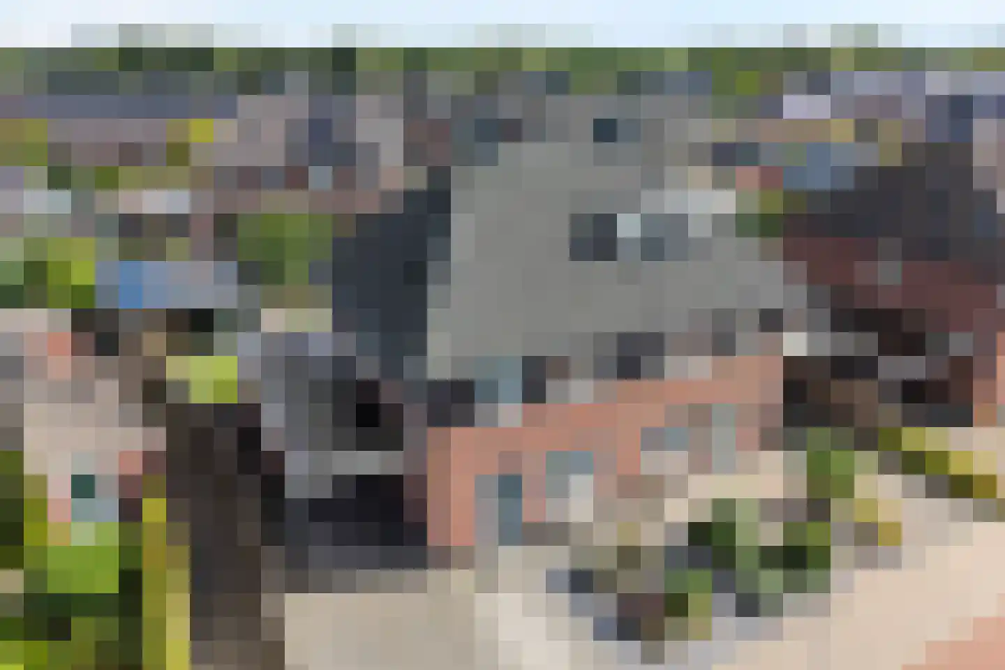 Het Diepen Goor 9 Gramsbergen thumbnail 11