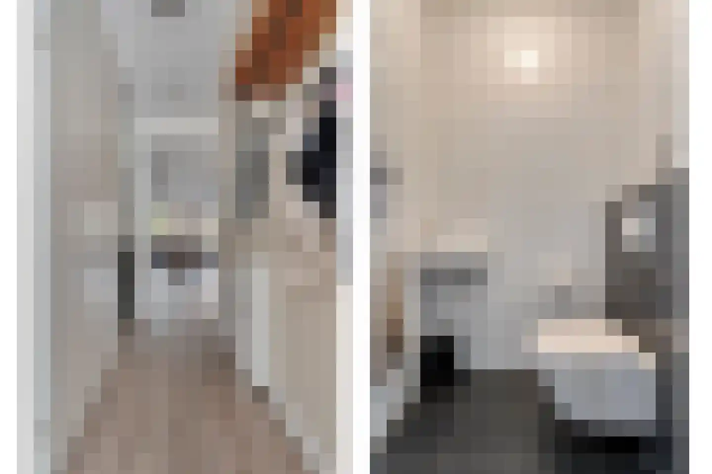 Het Diepen Goor 9 Gramsbergen thumbnail 19