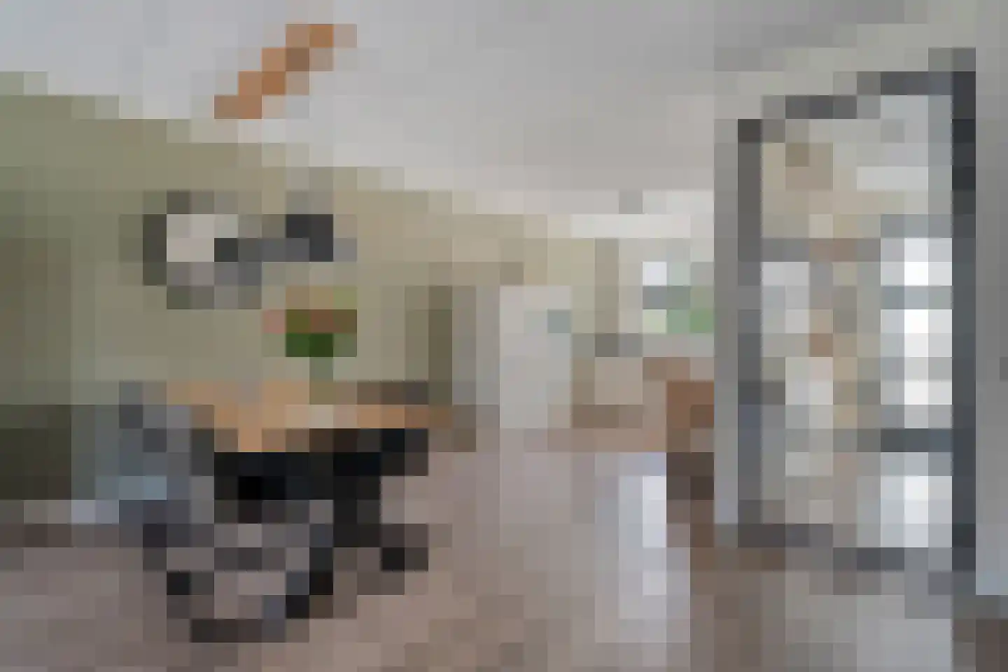 Het Diepen Goor 9 Gramsbergen thumbnail 23