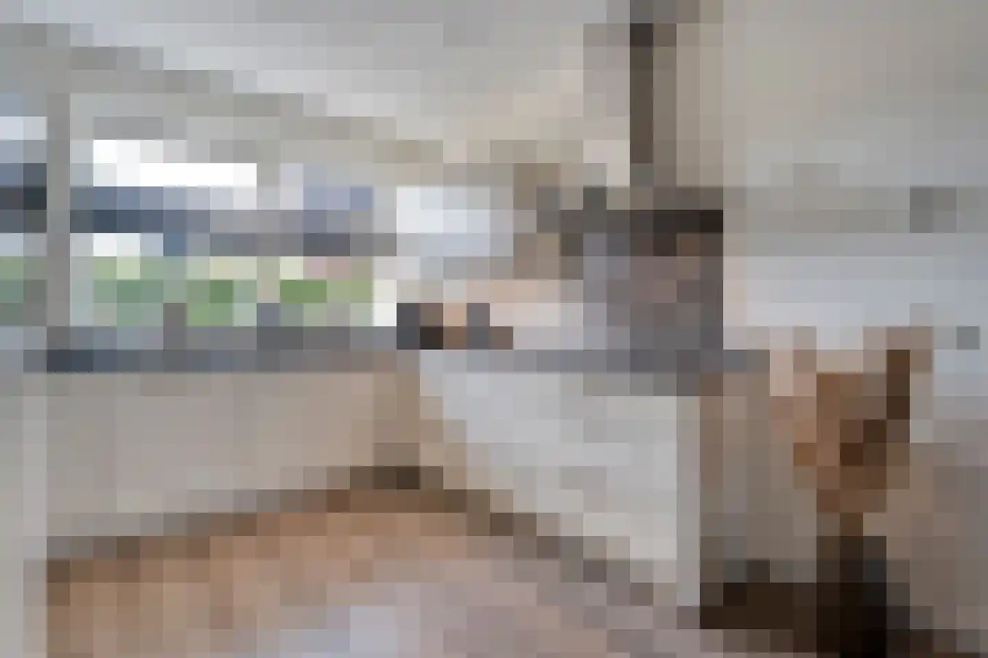 Het Diepen Goor 9 Gramsbergen thumbnail 24