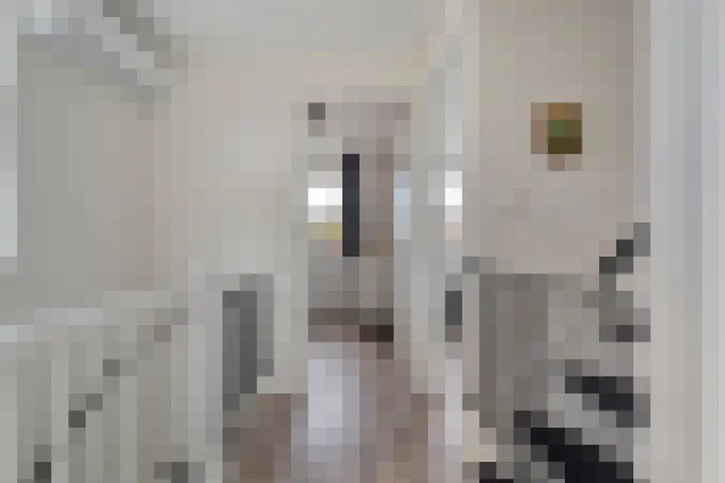 Het Diepen Goor 9 Gramsbergen thumbnail 27