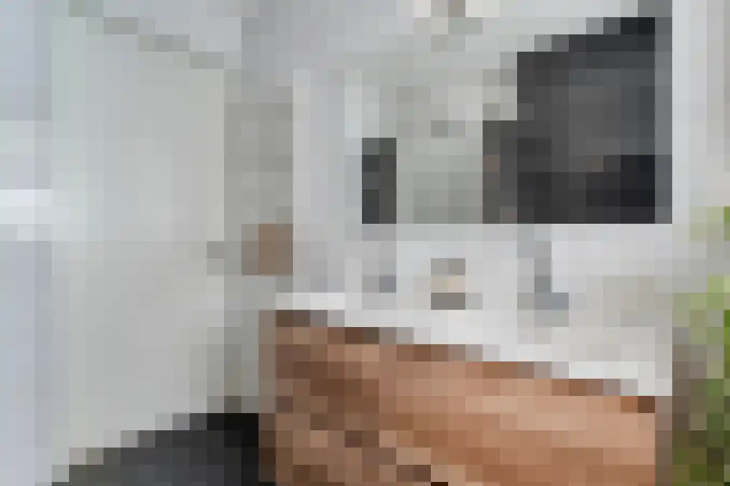 Het Diepen Goor 9 Gramsbergen thumbnail 36