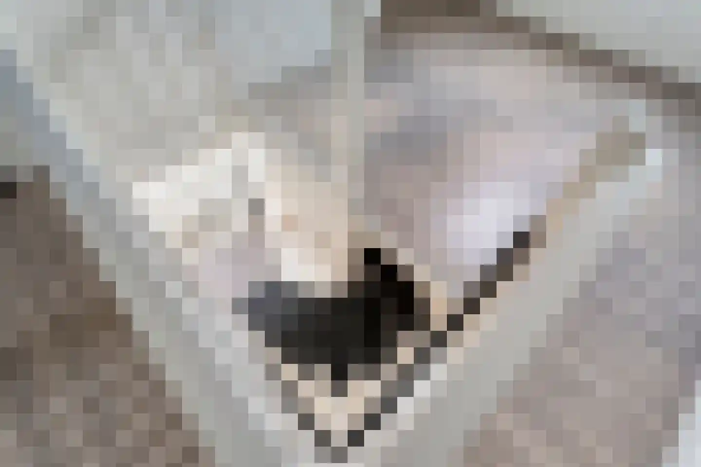 Het Diepen Goor 9 Gramsbergen thumbnail 37