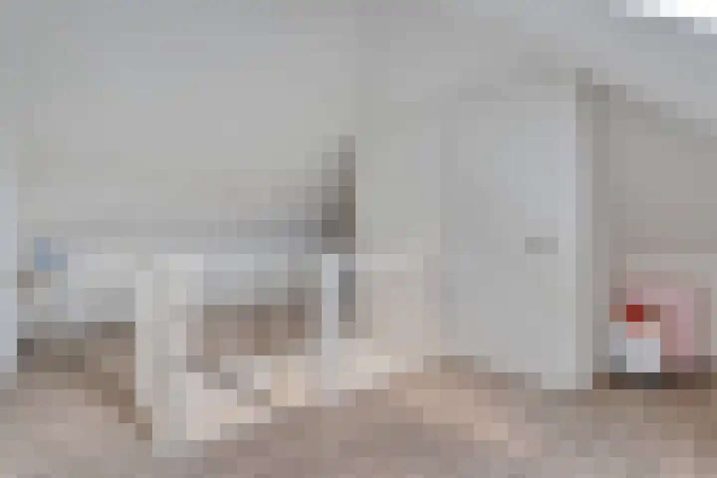 Het Diepen Goor 9 Gramsbergen thumbnail 38