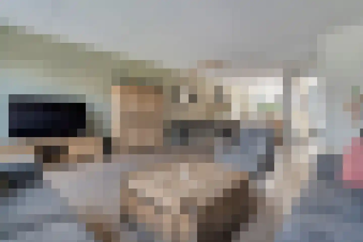 Het Diepen Goor 9 Gramsbergen thumbnail 4