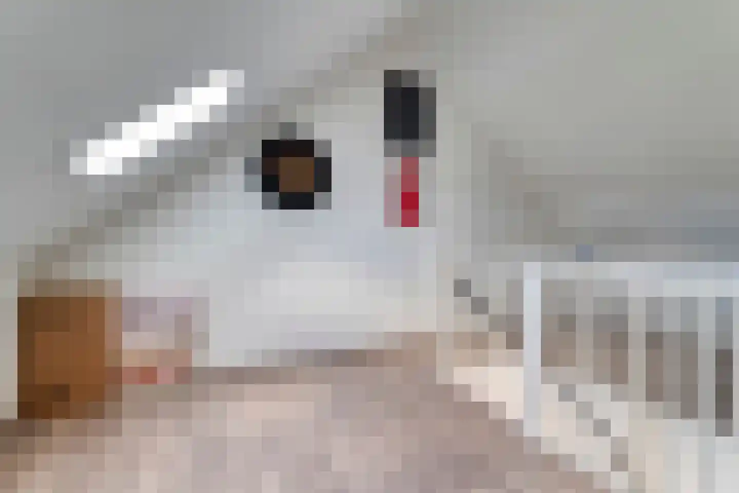 Het Diepen Goor 9 Gramsbergen thumbnail 40