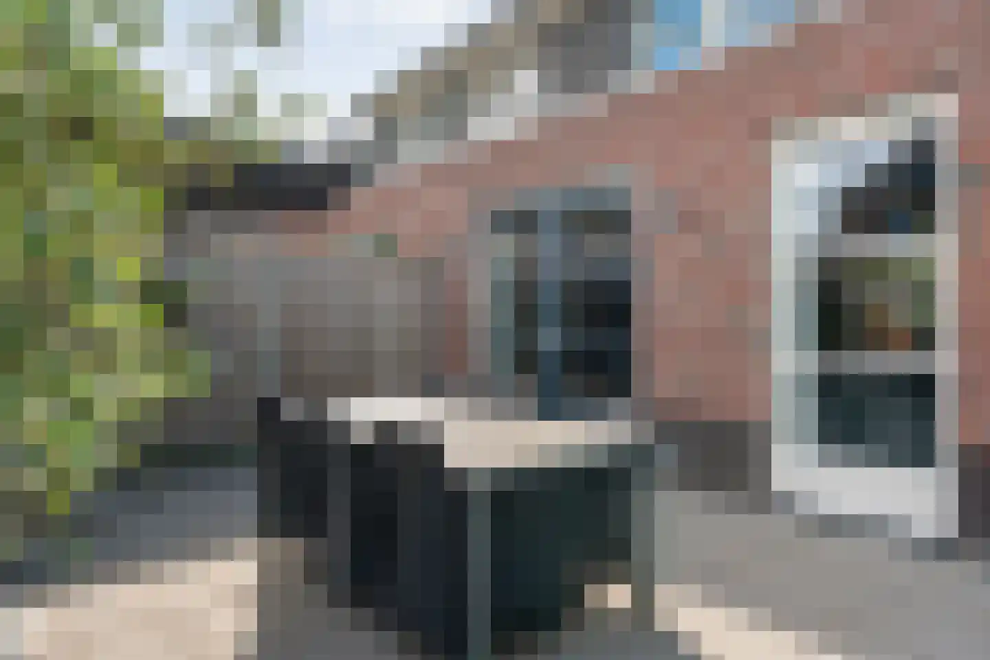 Het Diepen Goor 9 Gramsbergen thumbnail 43
