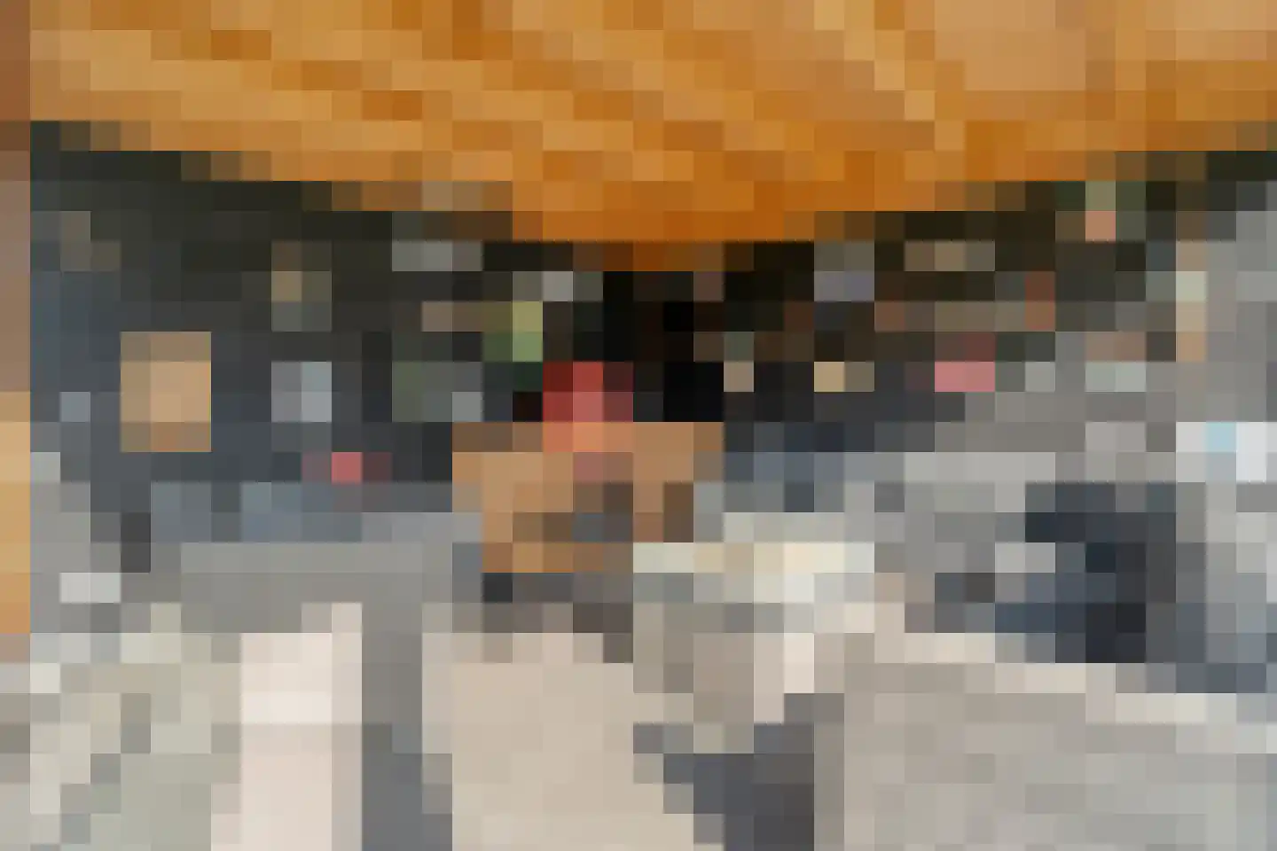 Het Diepen Goor 9 Gramsbergen thumbnail 48