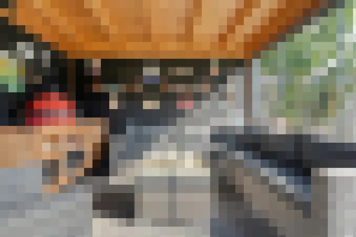 Het Diepen Goor 9 Gramsbergen thumbnail 49