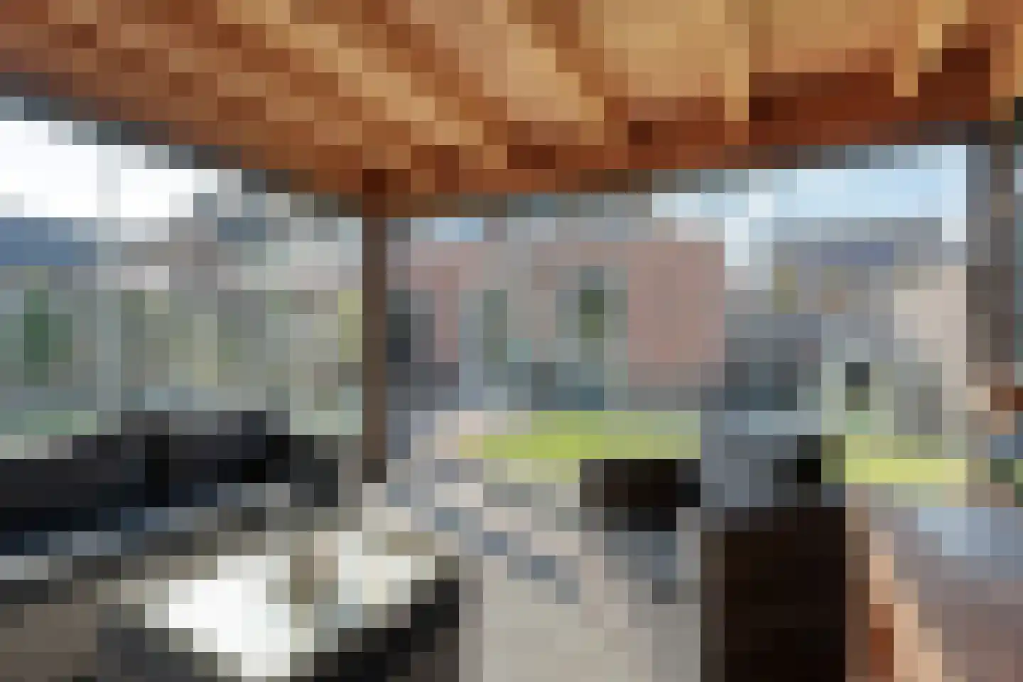 Het Diepen Goor 9 Gramsbergen thumbnail 50