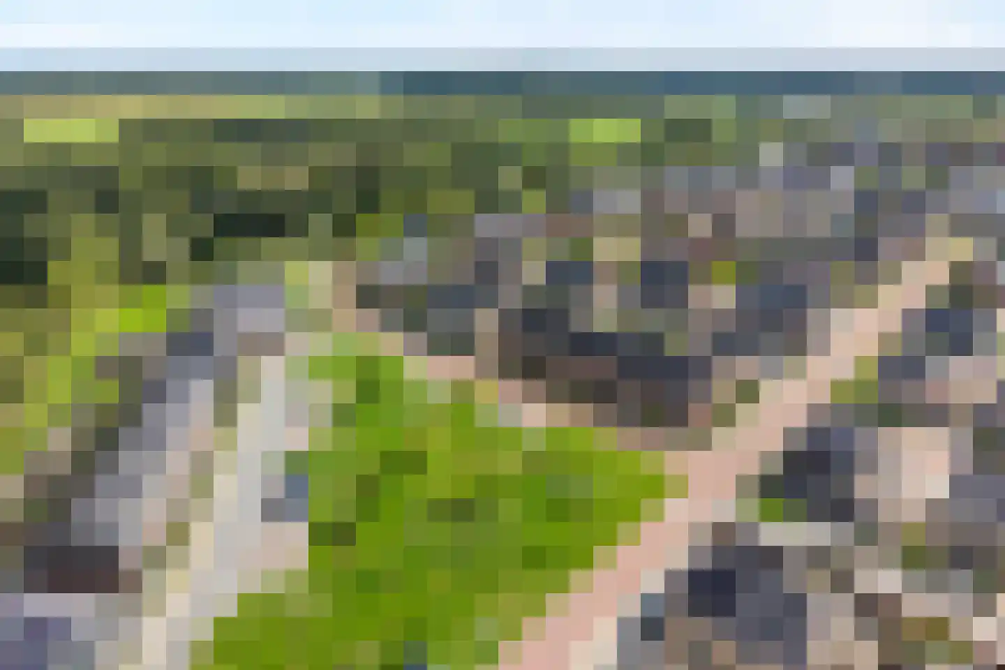 Het Diepen Goor 9 Gramsbergen thumbnail 54