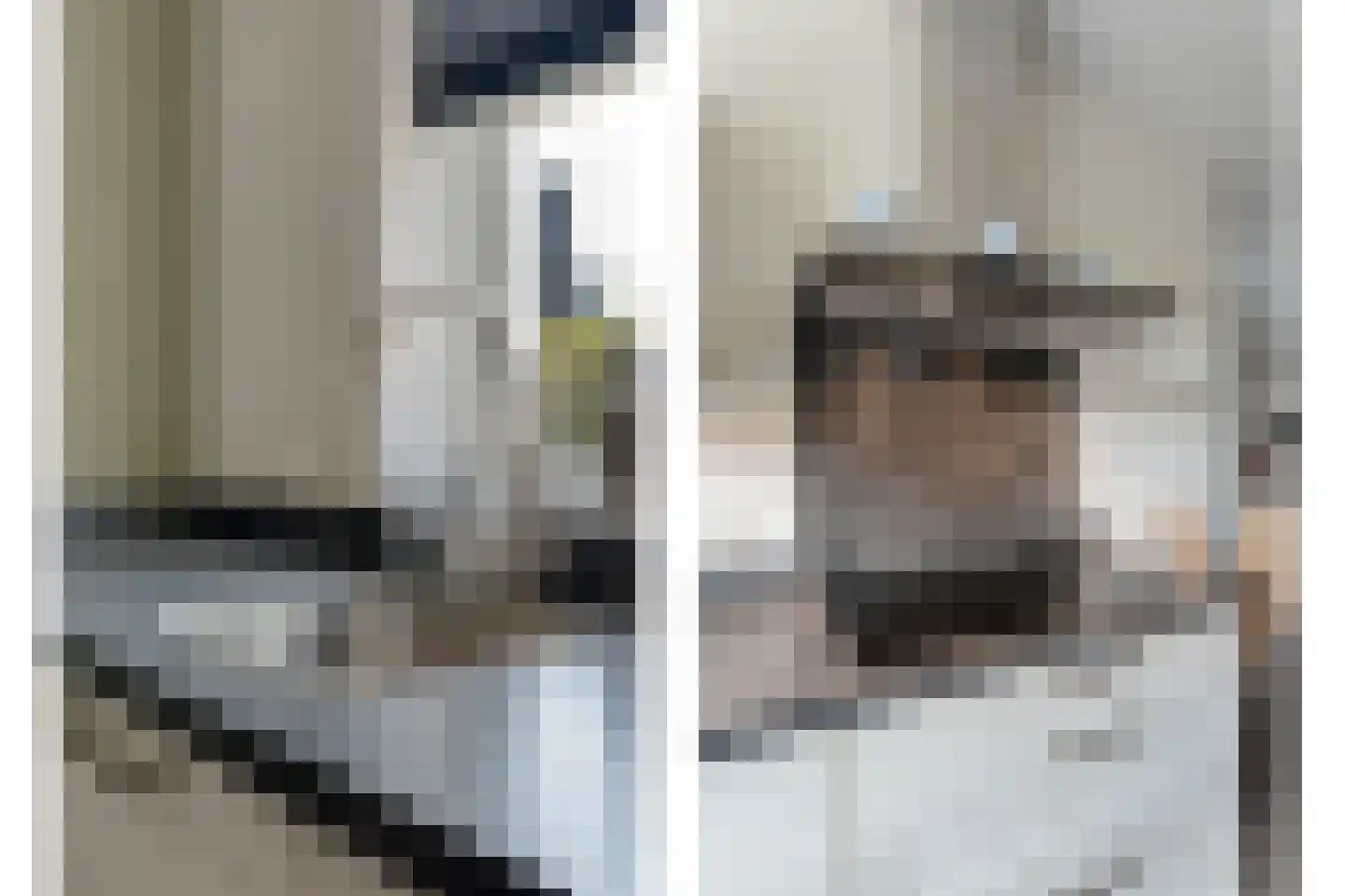 Het Diepen Goor 9 Gramsbergen thumbnail 6