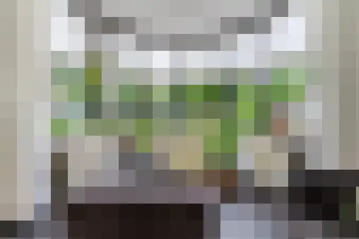 Het Doel 3 Hilvarenbeek thumbnail 14