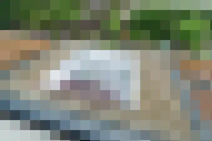 Het Doel 3 Hilvarenbeek thumbnail 24