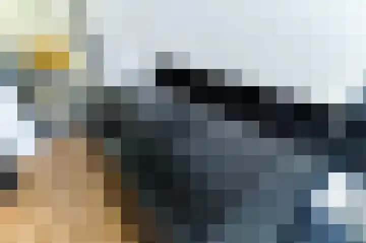 Het Doel 3 Hilvarenbeek thumbnail 33
