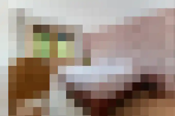 Het Doel 3 Hilvarenbeek thumbnail 36