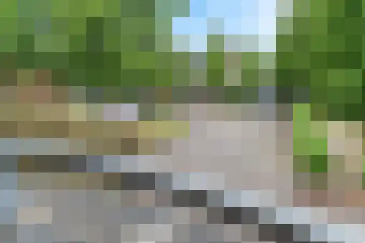 Het Doel 3 Hilvarenbeek thumbnail 37