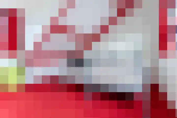 Het Doel 3 Hilvarenbeek thumbnail 45