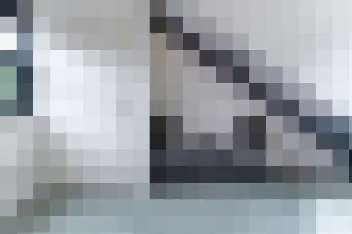Het Doel 3 Hilvarenbeek thumbnail 47