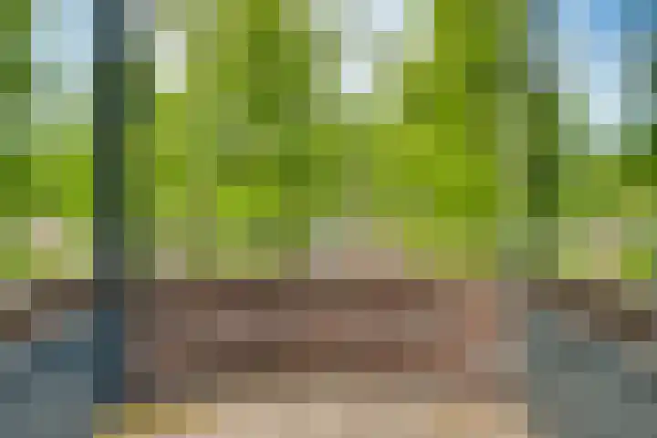 Het Doel 4 Hilvarenbeek thumbnail 23