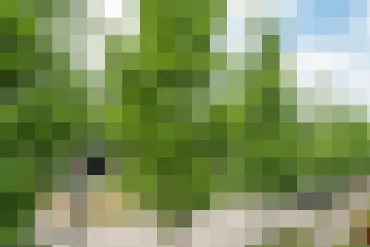 Het Doel 4 Hilvarenbeek thumbnail 24