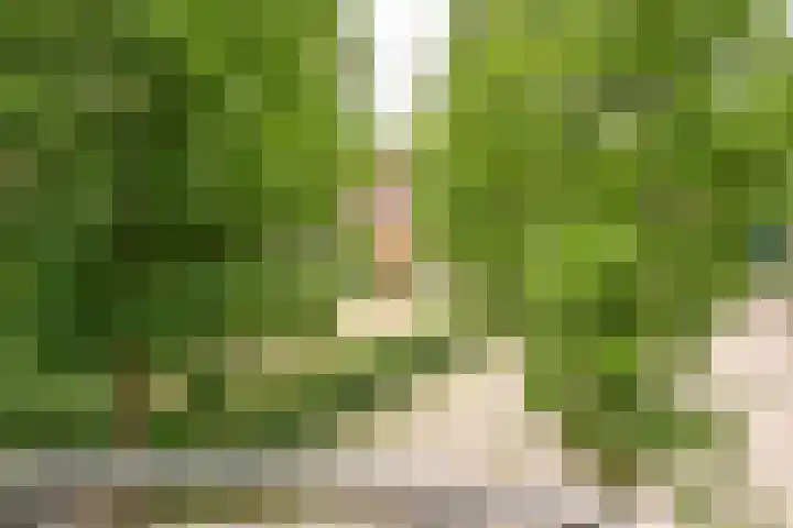 Het Doel 4 Hilvarenbeek thumbnail 25