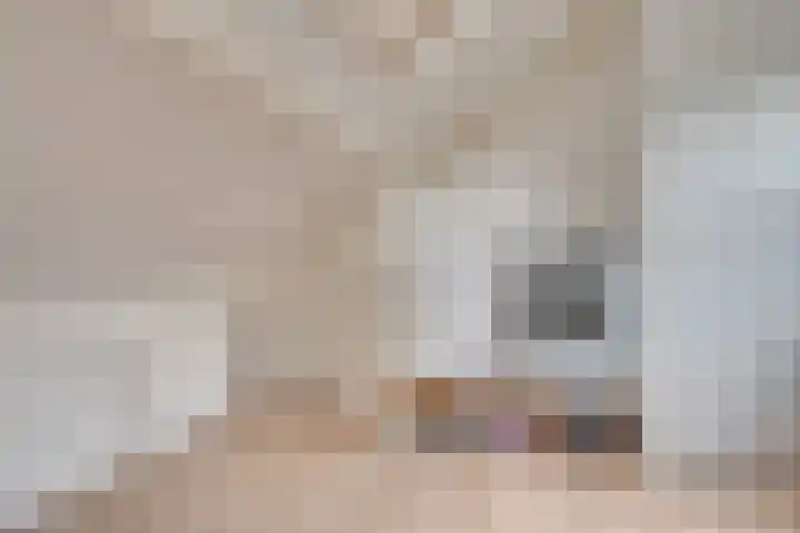 Het Doel 4 Hilvarenbeek thumbnail 33