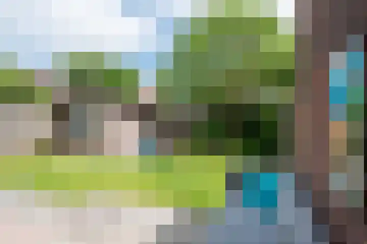 Het Doel 4 Hilvarenbeek thumbnail 39