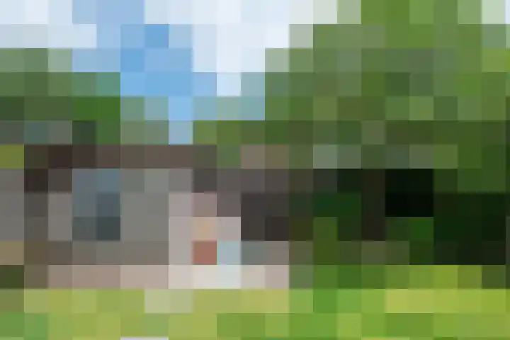 Het Doel 4 Hilvarenbeek thumbnail 40