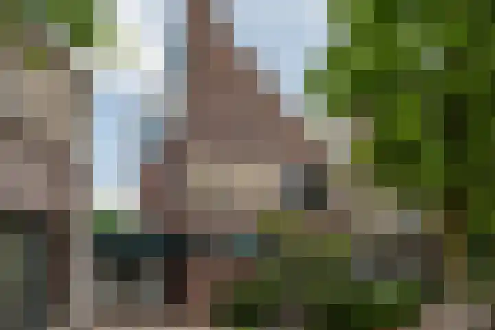 Het Doel 4 Hilvarenbeek thumbnail 53