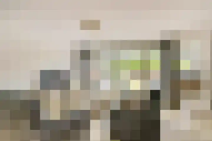 Het Doel 7 Hilvarenbeek thumbnail 11