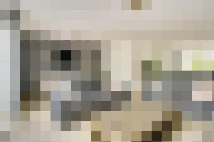 Het Doel 7 Hilvarenbeek thumbnail 12
